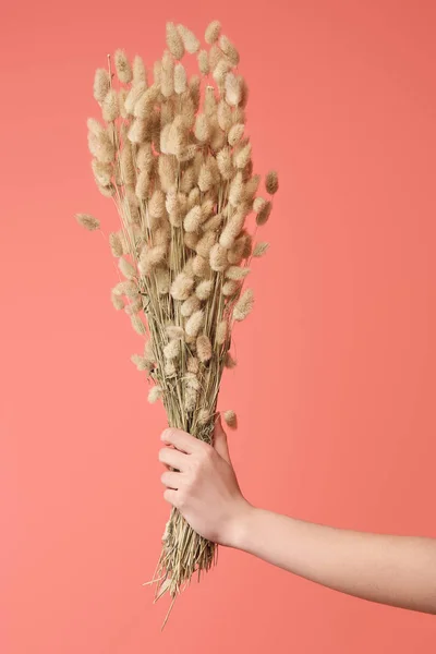 Tiro Recortado Mujer Sosteniendo Ramo Lagurus Aislado Naranja — Foto de Stock