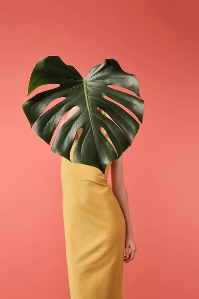 Mujer Cubriendo Cara Con Hoja Monstera Aislada Rojo — Foto de Stock