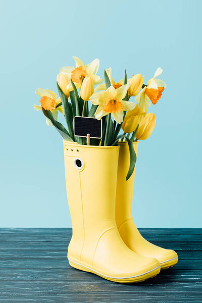 close up view of yellow tulips and narcissus flowers with empty chalkboard in rubber boots on blue