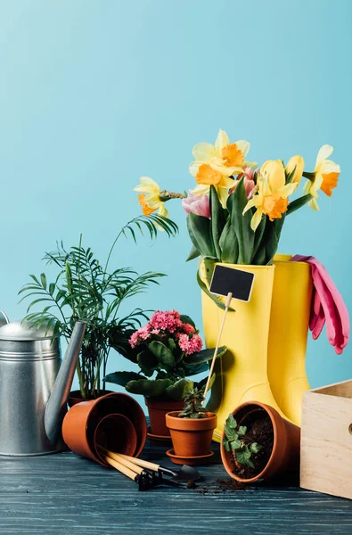 Vista Cerca Botas Goma Arregladas Con Flores Macetas Herramientas Jardinería — Foto de Stock