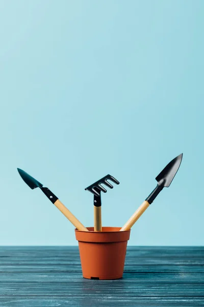 Close View Gardening Tools Flowerpot Wooden Tabletop Blue — Free Stock Photo