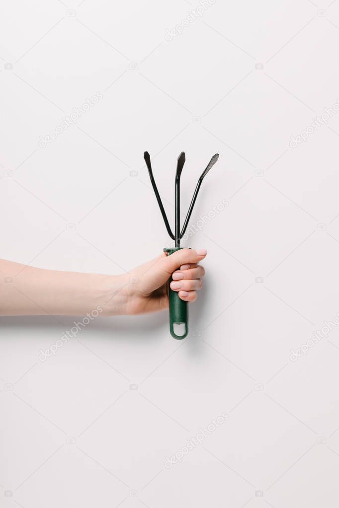 cropped shot of woman holding gardening hand rake in hand isolated on white