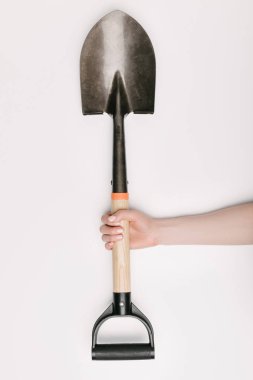 partial view of female hand with shovel isolated on white clipart
