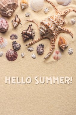 Hello summer inscription on light sand with seashells clipart