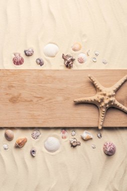 Starfish on wooden pier on sandy beach with seashells  clipart