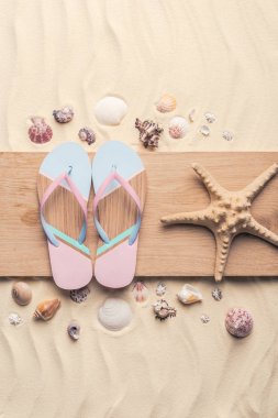 Flip flop ve hafif kum üzerinde kabukları ile deniz yıldızı