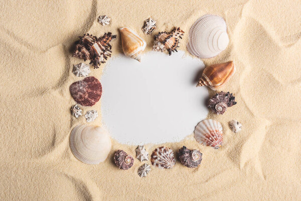 Frame of various seashells on light sand