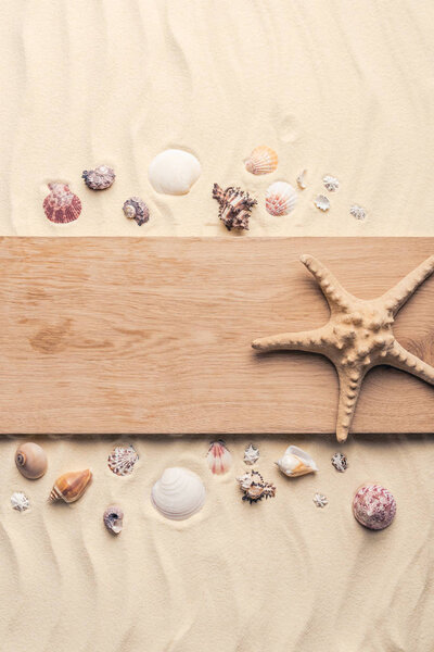 Starfish on wooden pier on sandy beach with seashells 