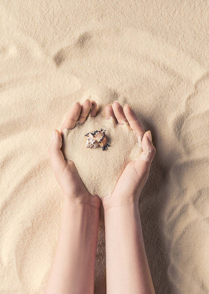 Female hands holding sea shell on light sand