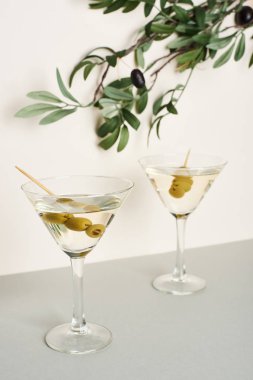 Beyaz arka planda zeytin dalı olan martini kokteyli.