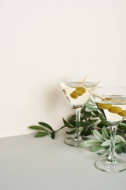 Gri yüzeyde zeytin dalı olan klasik martini kokteylleri.