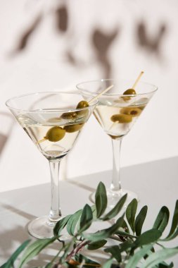 Zeytinli martini ve beyaz arka planda zeytin dalı.