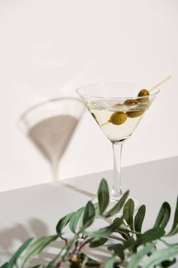 Beyaz arka planda gölgesi olan martini ve gri yüzeyde zeytin dalı