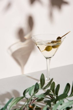 Gölgeli martini kokteyli ve gri yüzeyde zeytin dalı.