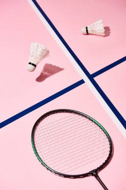 Badminton mekik penisleri ve mavi çizgili pembe arka planda raket.