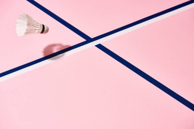 Pembe yüzeyde mavi çizgileri olan Badminton mekik horozu
