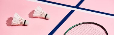Badminton için raket ve pembe arka planda panoramik çekim, mavi çizgili mekik horozları
