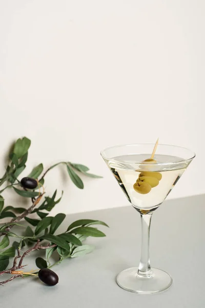 Cocktail Martini Com Ramo Oliva Sobre Fundo Branco — Fotografia de Stock