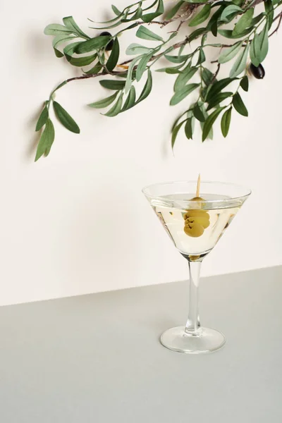 Copo Martini Com Ramo Oliva Sobre Fundo Branco — Fotografia de Stock