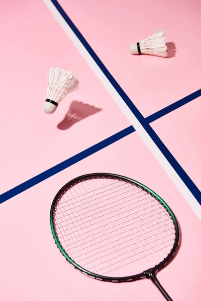Badminton Shuttlecocks Raketa Růžovém Pozadí Modrými Liniemi — Stock fotografie