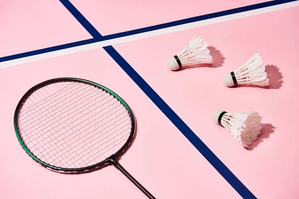 Badminton Raketa Shuttlecocks Růžovém Pozadí Modrými Liniemi — Stock fotografie