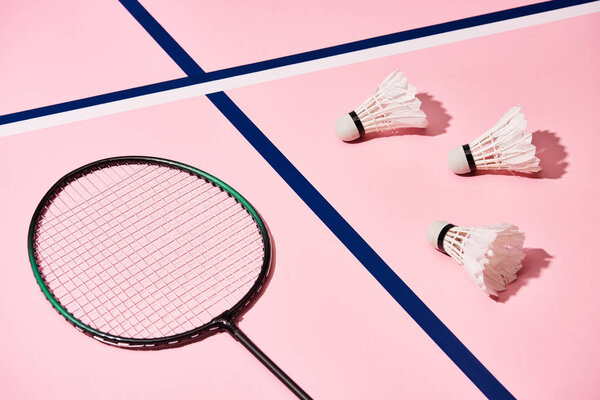 Badminton racket and shuttlecocks on pink background with blue lines