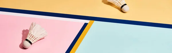 Två Badminton Skyttlar Färgglada Bakgrund Med Blå Linjer Panorama Skott — Stockfoto