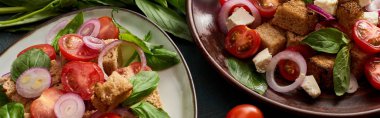 Taze İtalyan sebze salatası panzanella tabakta servis edilir, panoramik çekim.