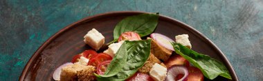 Tabakta servis edilen taze İtalyan sebze salatası panzanella, panoramik çekim.