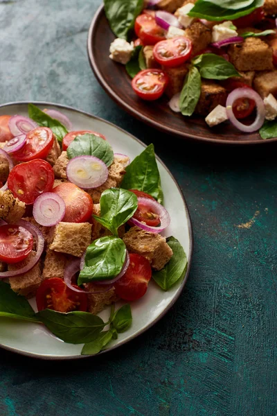 Fresh Italian Vegetable Salad Panzanella Served Plates Table — ストック写真
