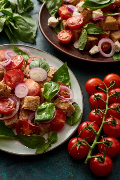 Fresh Italian vegetable salad panzanella served on plates on table with tomatoes — Stock Image Fresh Italian Vegetable Salad Panzanella Served Plates Table Tomatoes Stock Picture