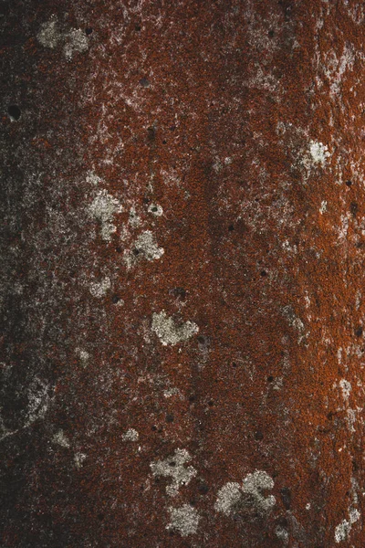 Rough red tree bark background — Stock Photo