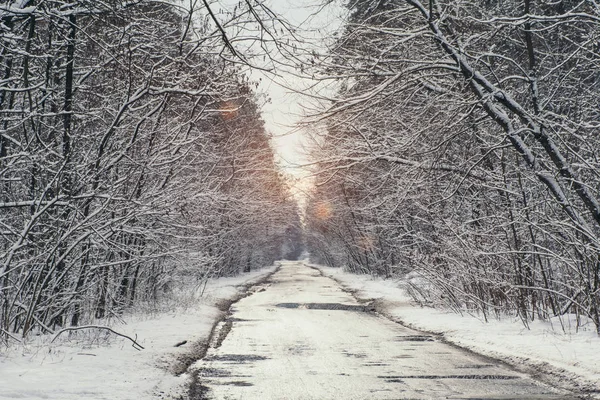 Sunlight in snowy park with road in winter — Stock Photo