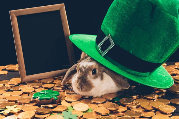 Domestic rabbit sitting on golden coins under green hat, st patricks day concept — Stock Photo