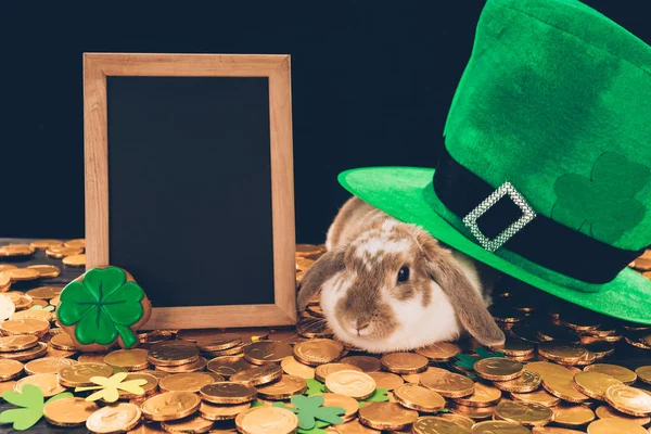 Domestic rabbit sitting on golden coins under green hat, st patricks day concept — Stock Photo