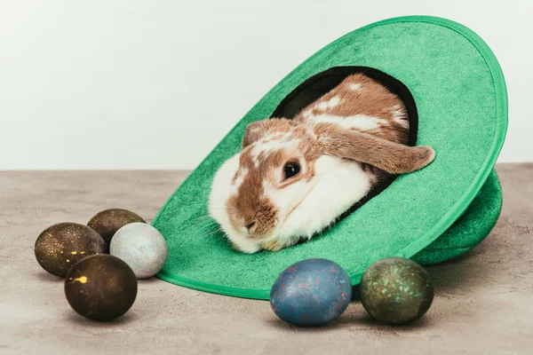 Домашний кролик лежит в зеленой шляпе с окрашенными пасхальными яйцами на поверхности — стоковое фото