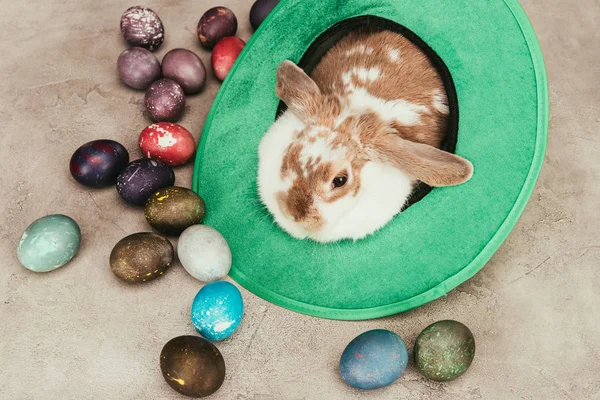 High angle view of domestic rabbit lying in green hat with easter eggs on surface — Stock Photo