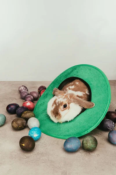 Coniglietto domestico sdraiato in cappello verde con uova di Pasqua in superficie — Foto stock