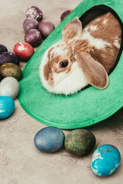 Domestic rabbit lying in green hat with easter eggs on surface — Stock Photo