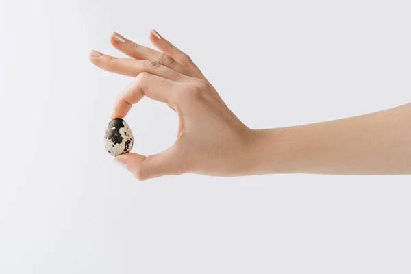 Cropped image of hand holding quail egg on white background — Stock Photo