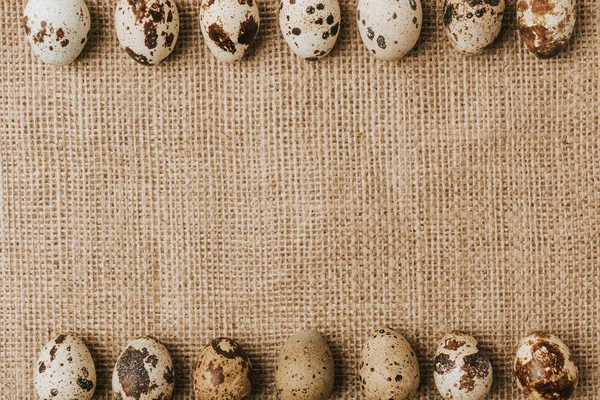Uova di quaglia che depongono in fila su sacco — Foto stock