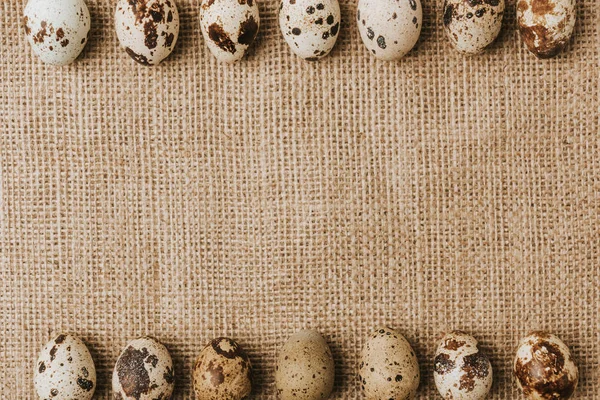 Quail eggs laying in a rows on sackcloth — Stock Photo