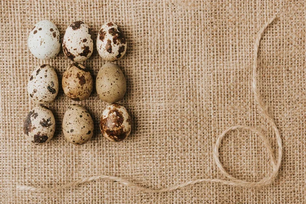 Huevos de codorniz colocados en hileras en saco con cuerda - foto de stock