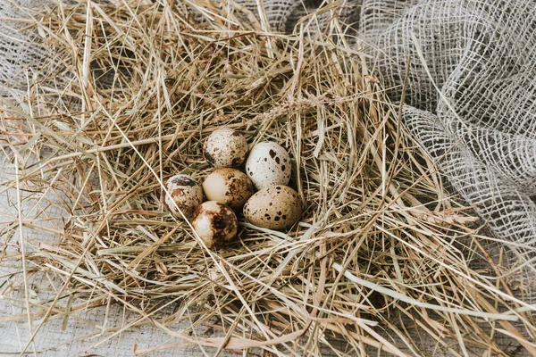 Uova di quaglia che depongono sulla paglia sopra un sacco — Foto stock