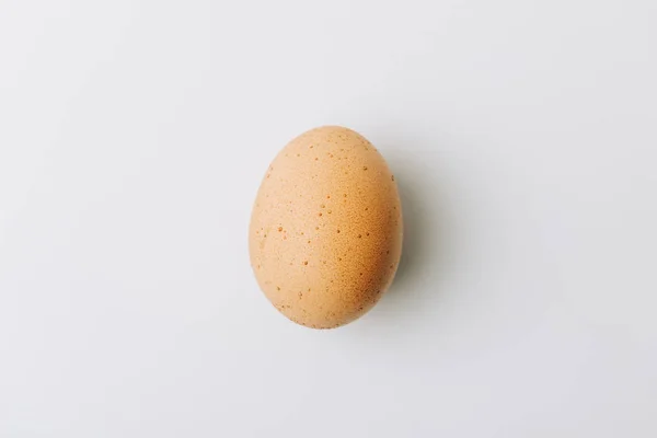 Brown egg laying on white background — Stock Photo