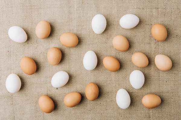 Weiße und braune Eier auf Sacktuch verstreut — Stockfoto