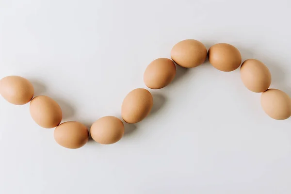 Huevos marrones que ponen sobre fondo blanco - foto de stock