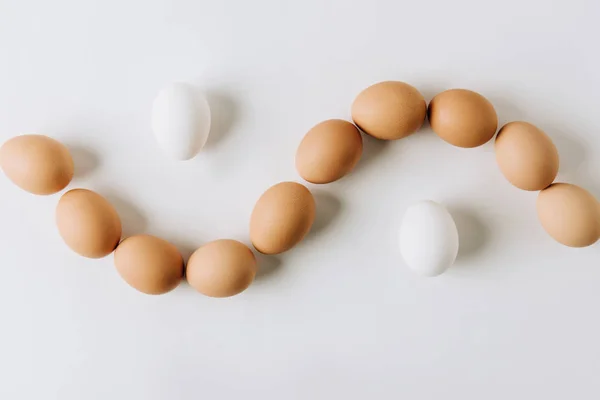 Ovos brancos e marrons que põem no fundo branco — Fotografia de Stock