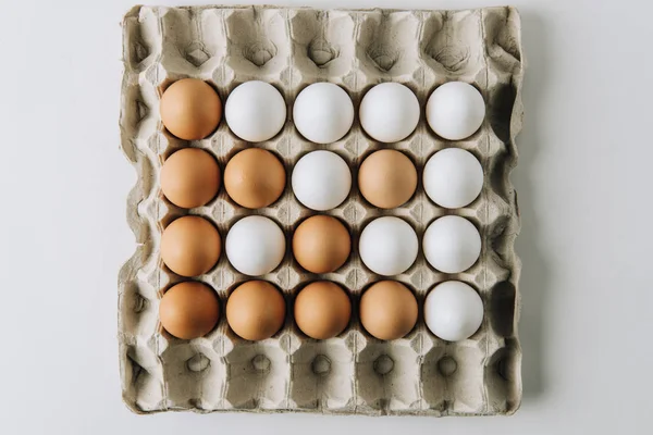 Ovos brancos e marrons que põem na caixa do ovo no fundo branco — Fotografia de Stock