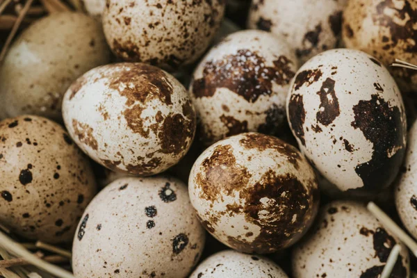 Uova di quaglia che depongono su paglia, full frame shot — Foto stock